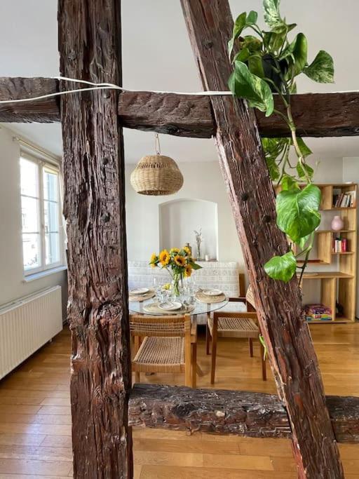 Appartement 2 Chambres Au Coeur De 斯特拉斯堡 外观 照片