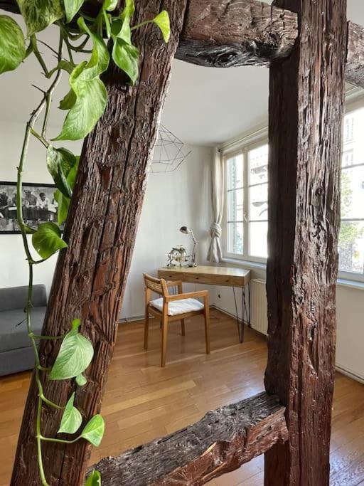Appartement 2 Chambres Au Coeur De 斯特拉斯堡 外观 照片