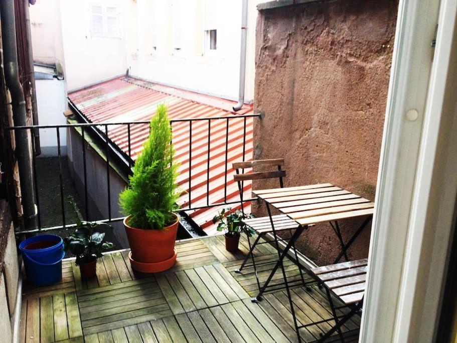 Appartement 2 Chambres Au Coeur De 斯特拉斯堡 外观 照片